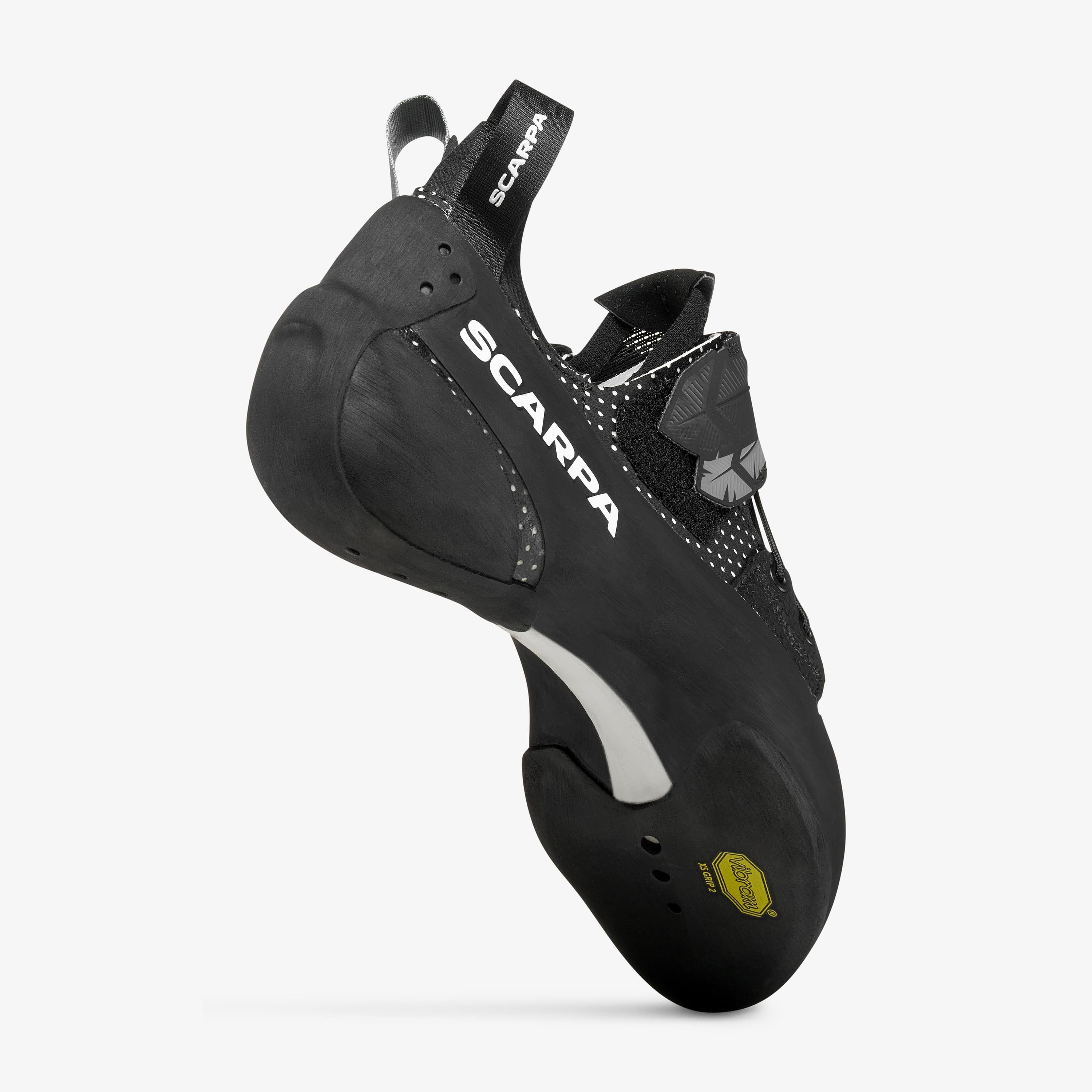 Blackbird - Image 6