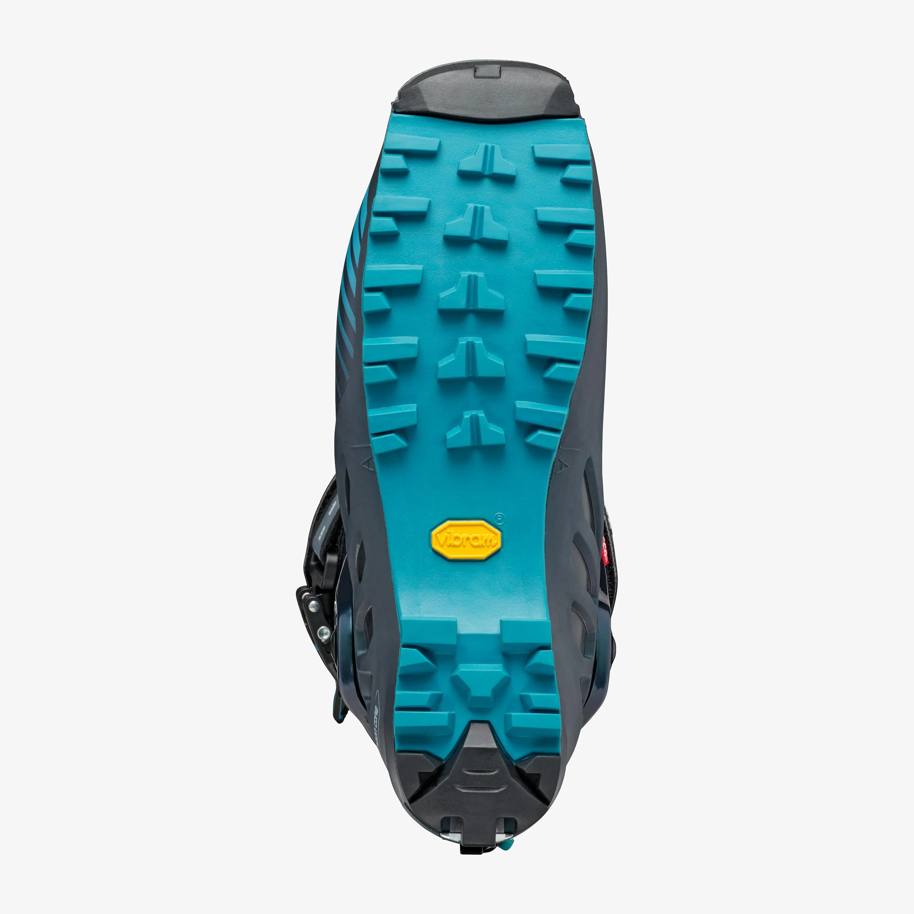 F1 - Image 5