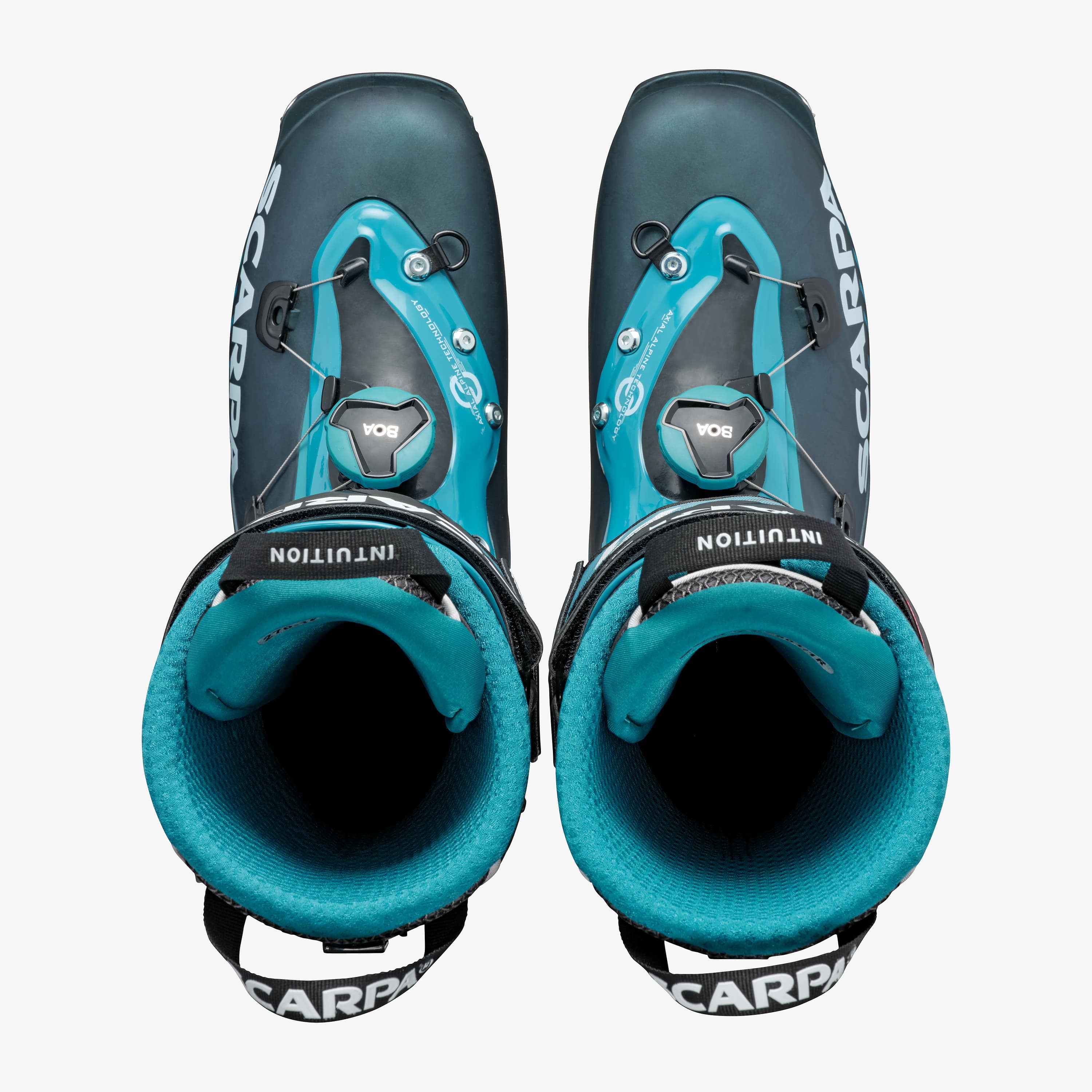 F1 - Image 6
