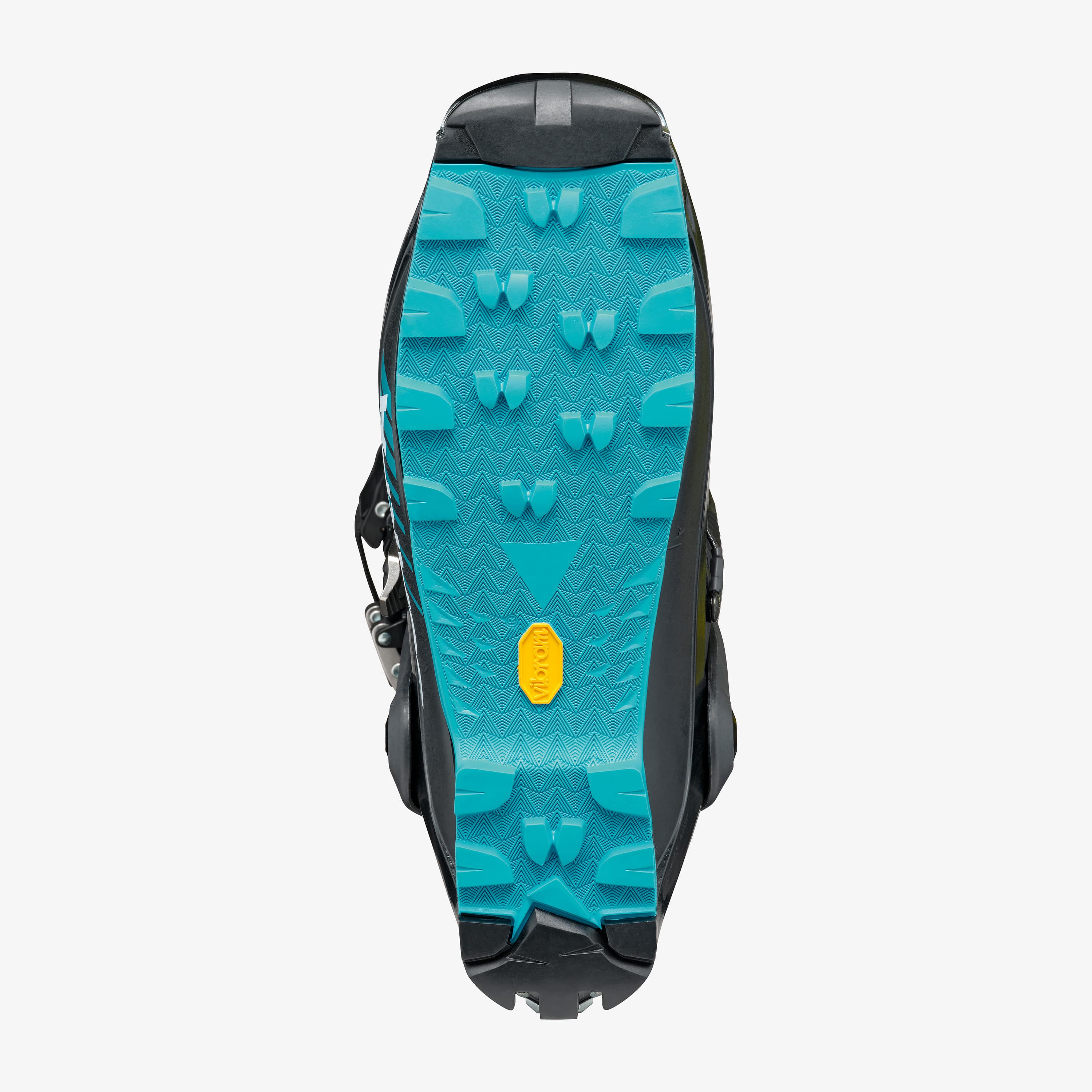 F1 XT - Image 5