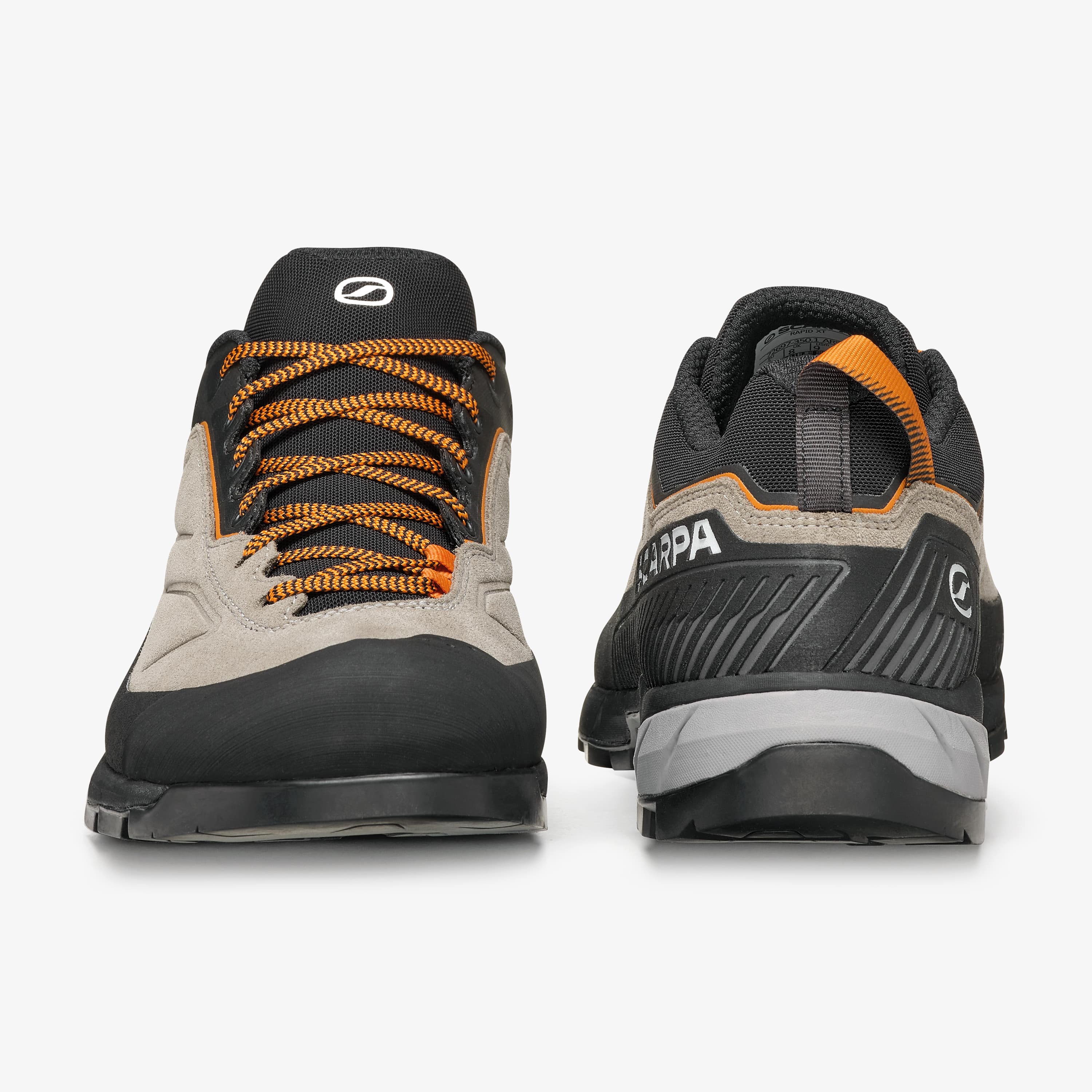 Rapid XT - Image 4