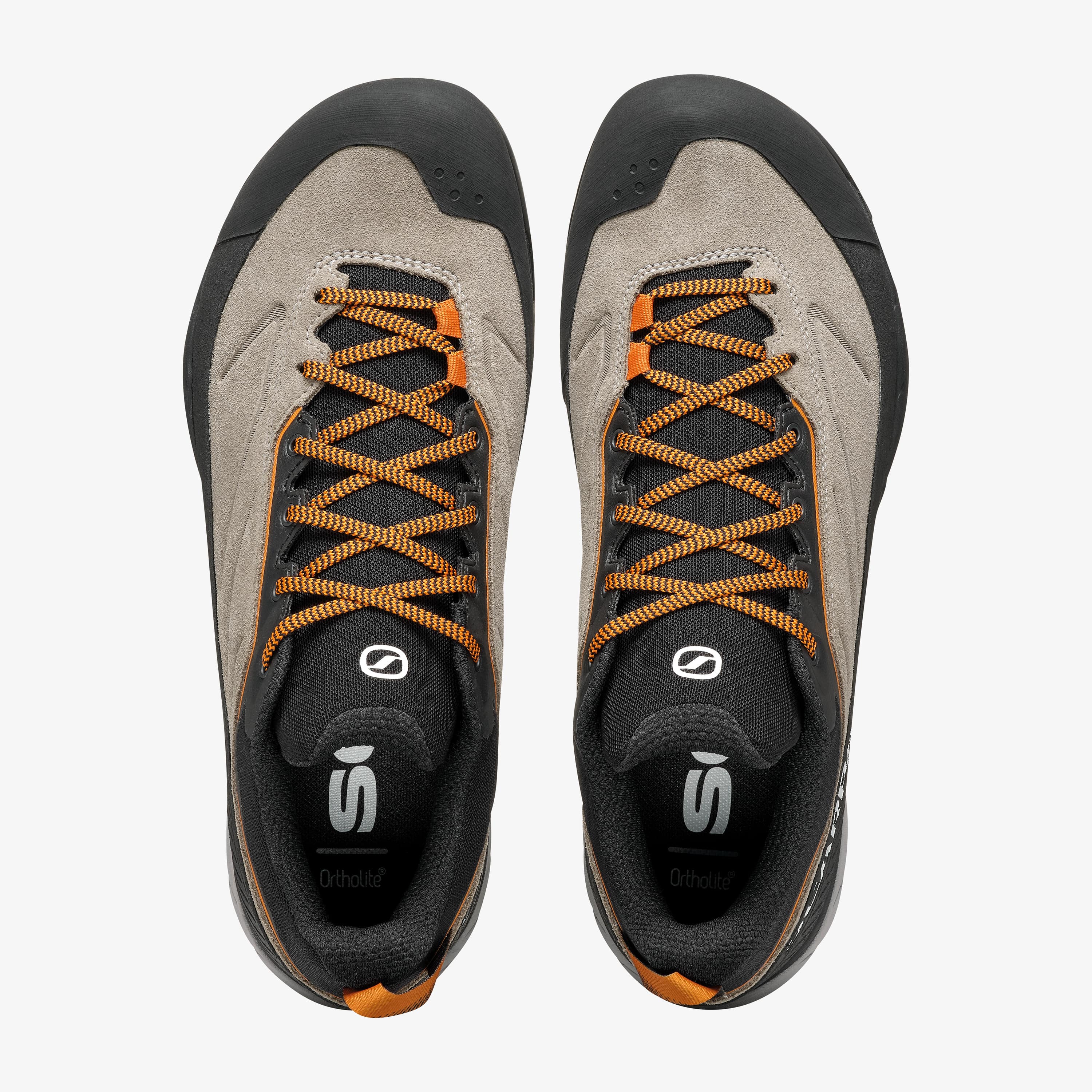 Rapid XT - Image 6