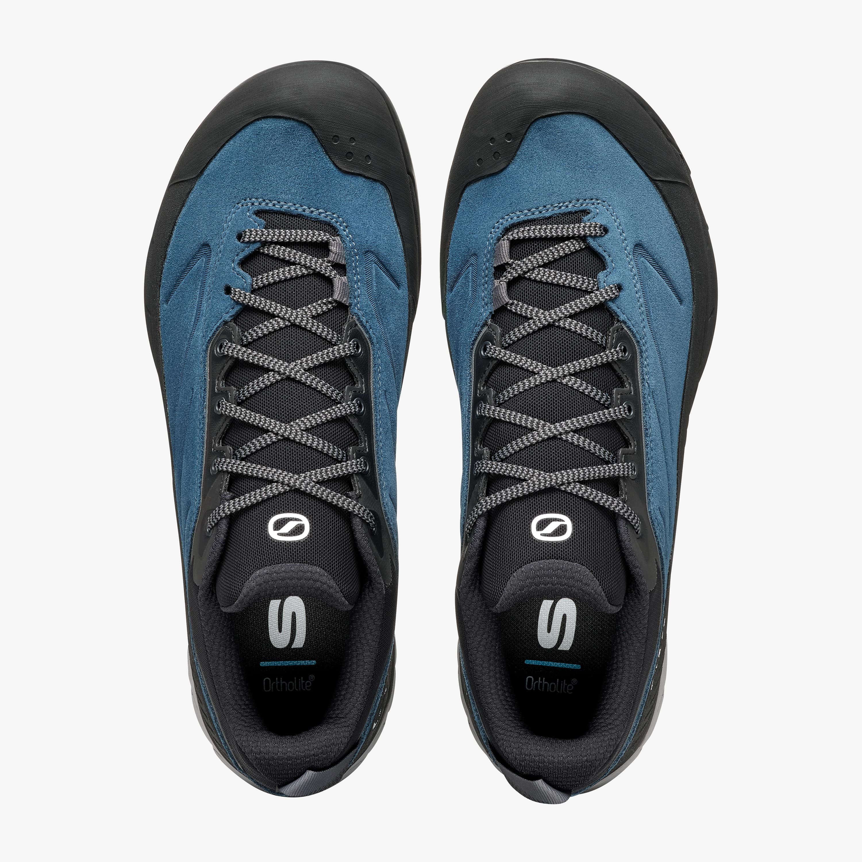 Rapid XT - Image 6