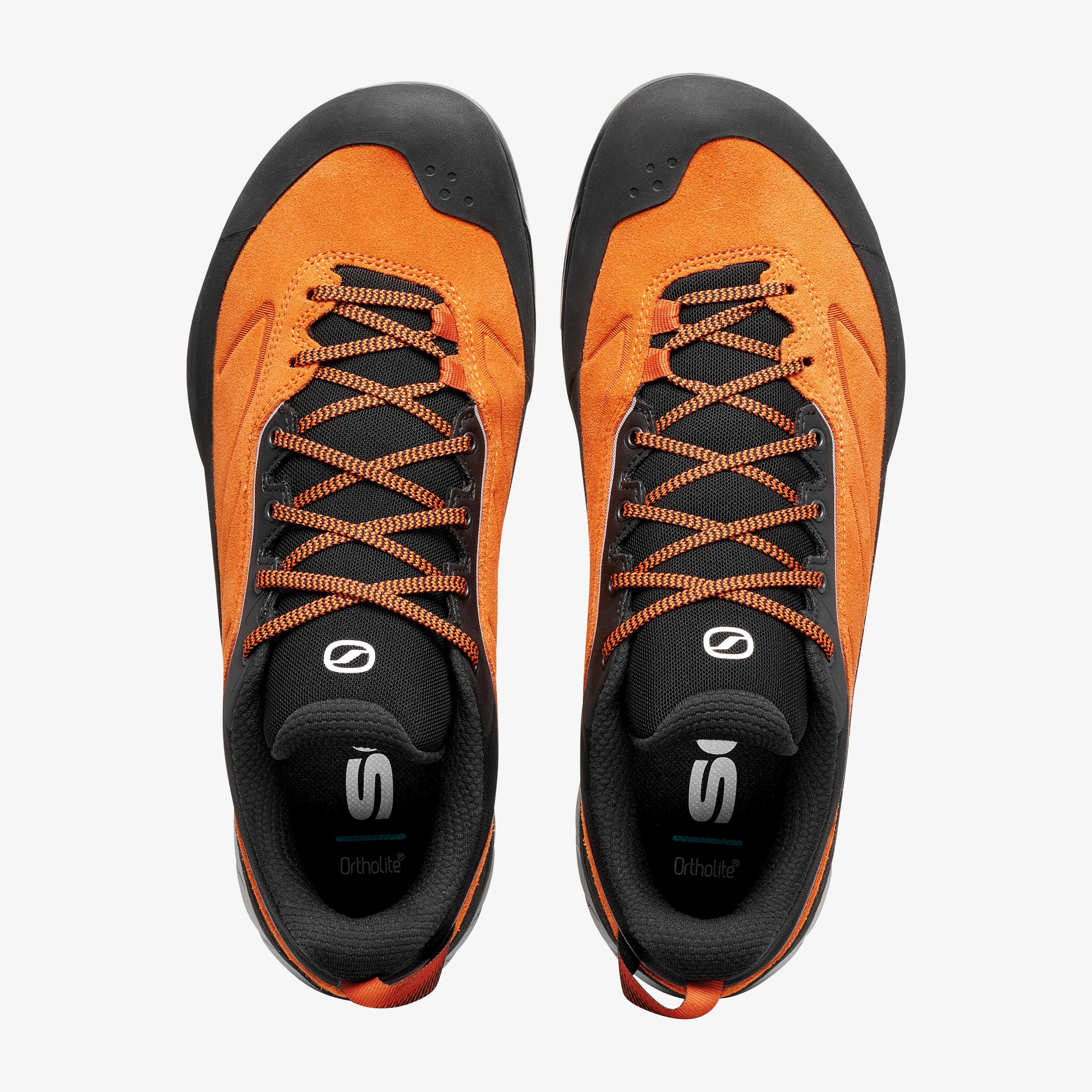 Rapid XT - Image 6