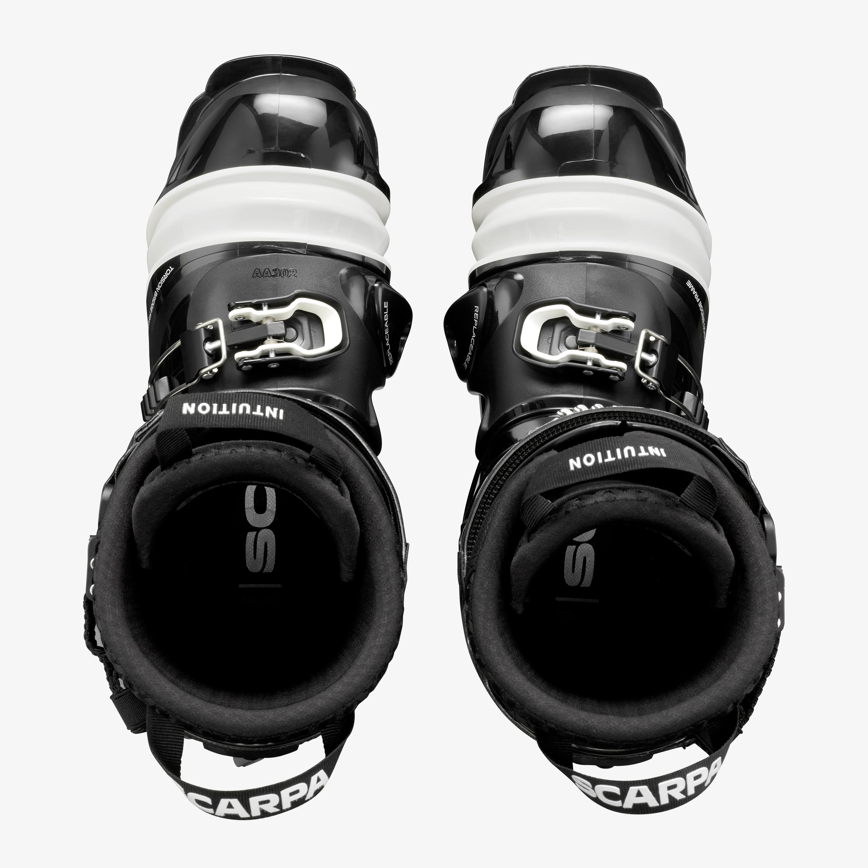 TX Comp - Image 6